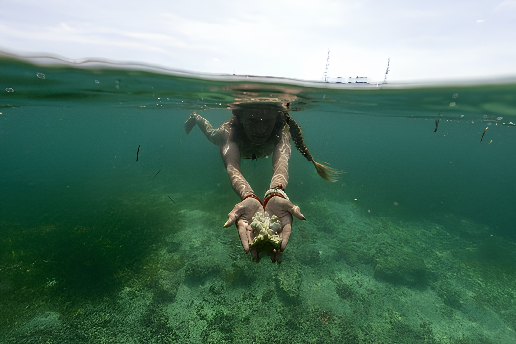 Standard SwinIR green-water photo